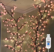 LED Curtain Lights USB Powered with Remote Control Holiday Christmas Decorations for Home