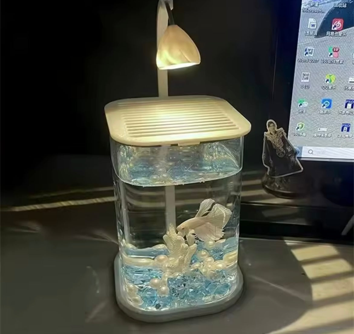 Mini Desktop Glass Aquarium Fish Tank with LED Light For Kids Betta Fish