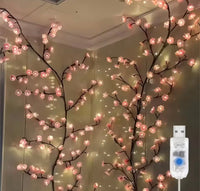 LED Lights USB Powered With Remote Control Holiday Christmas Lights