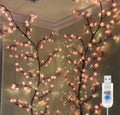 LED Curtain Lights USB Powered with Remote Control Holiday Christmas Decorations for Home