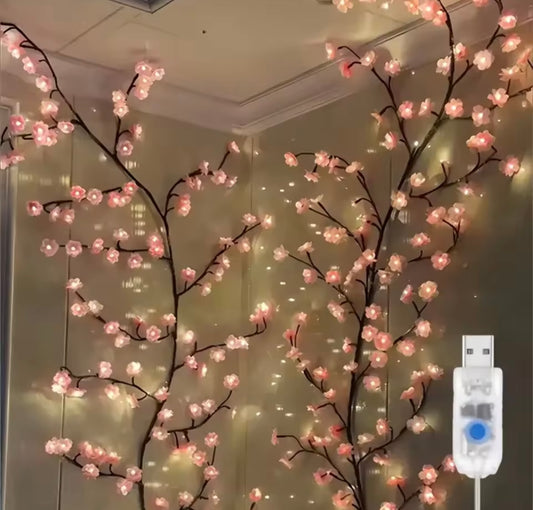 LED Curtain Lights USB Powered with Remote Control Holiday Christmas Decorations for Home