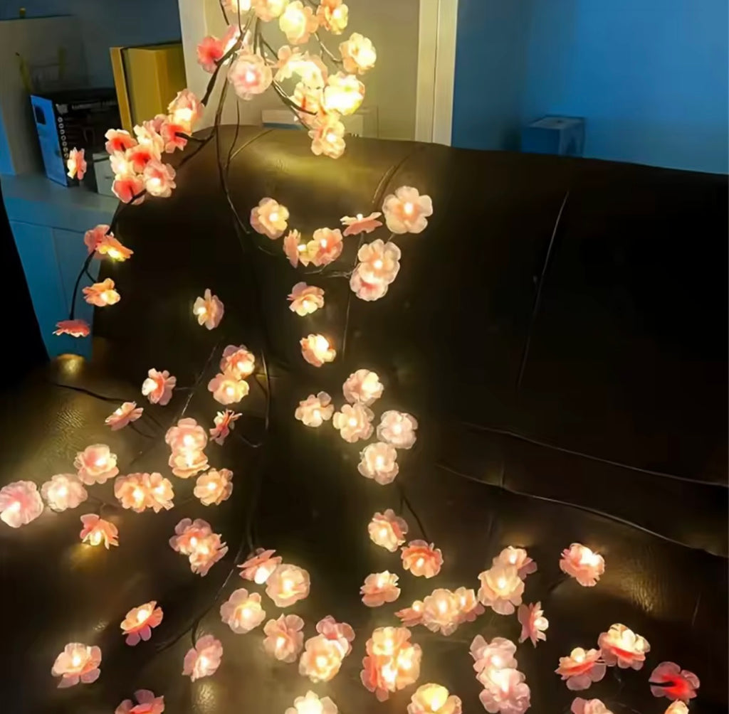 LED Curtain Lights USB Powered with Remote Control Holiday Christmas Decorations for Home