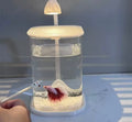 Mini Desktop Glass Aquarium Fish Tank with LED Light For Kids Betta Fish
