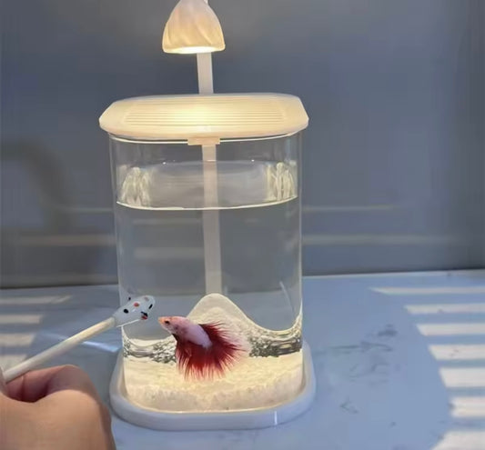 Mini Desktop Glass Aquarium Fish Tank with LED Light For Kids Betta Fish
