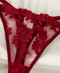 Large Size Sexy Mesh, Sexy Sleepwear, Sexy Suspender, Pure Desire, Seductive Lace Sleepwear